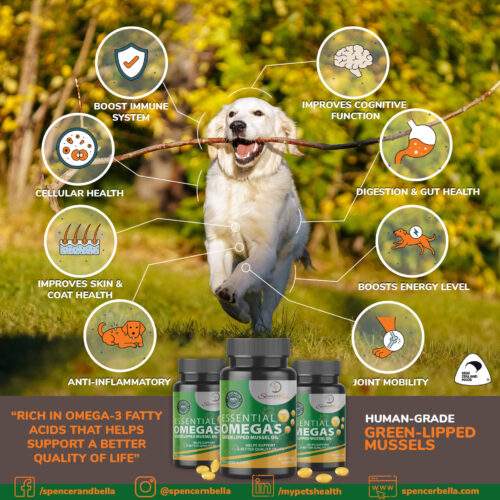 Cellular BOOST and Essential OMEGAS Review – Unlocking Optimal Pet Health