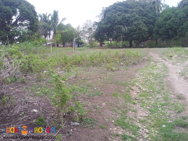 overlooking 3,500 sq.m lot for sale in Talisay City, Cebu