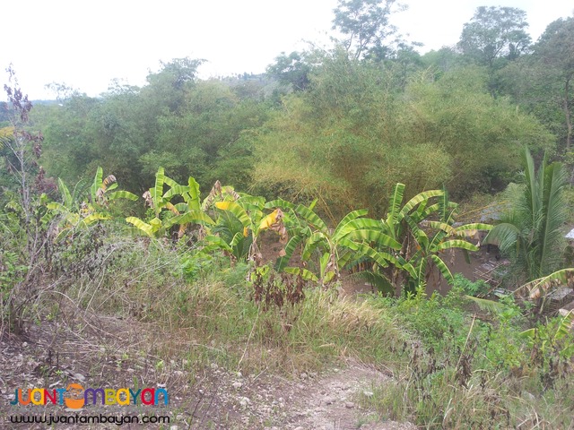 overlooking 3,500 sq.m lot for sale in Talisay City, Cebu