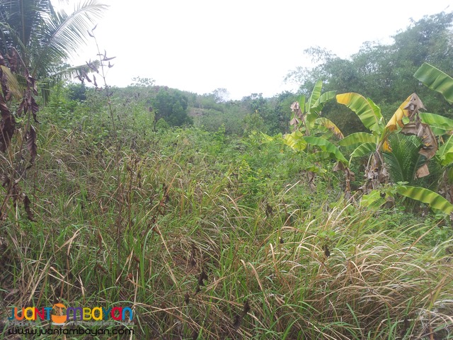overlooking 3,500 sq.m lot for sale in Talisay City, Cebu
