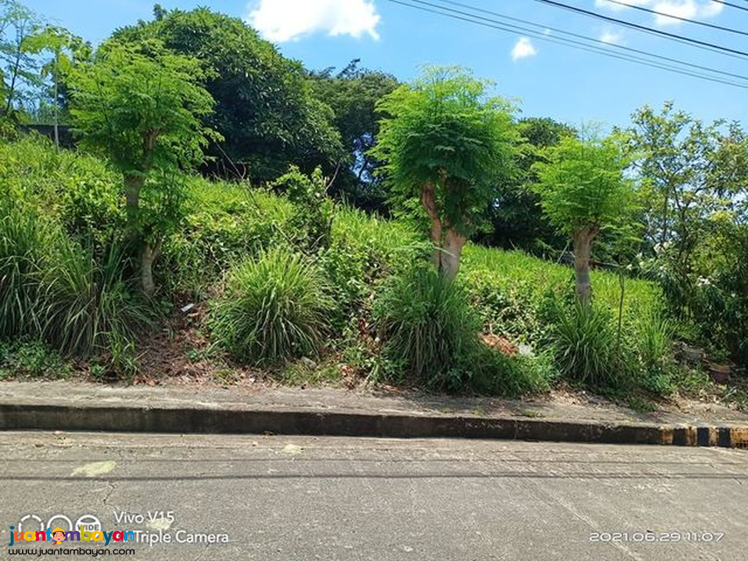LOT FOR SALE AT ROYALE CEBU ESTATE, CONSOLACION CEBU  