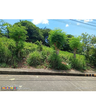 LOT FOR SALE AT ROYALE CEBU ESTATE, CONSOLACION CEBU  