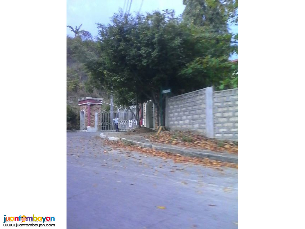 LOT FOR SALE AT ROYALE CEBU ESTATE, CONSOLACION CEBU  