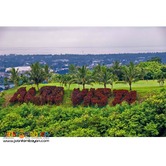 RESIDENTIAL LOT FOR SALE ALTA VISTA GULF & COUNTRY CLUB, PARDO