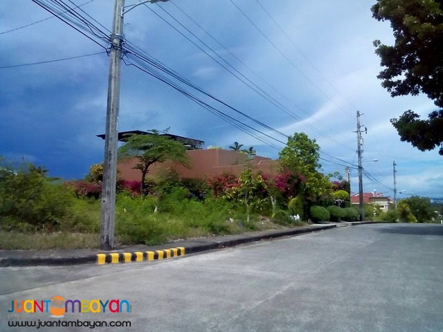 LOT FOR SALE AT ROYALE CEBU ESTATE, CONSOLACION CEBU  