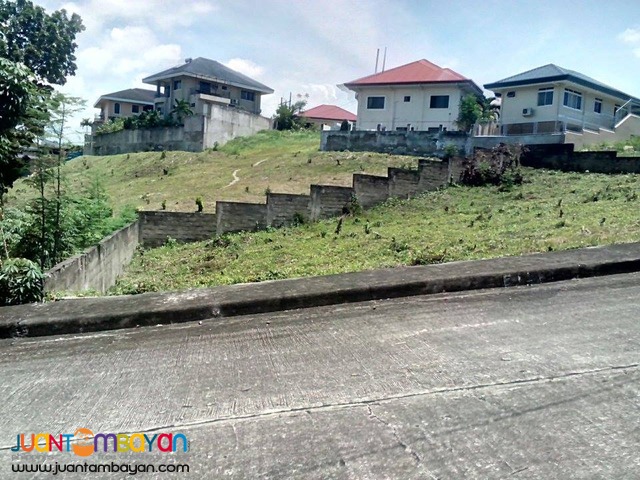 LOT FOR SALE AT ROYALE CEBU ESTATE, CONSOLACION CEBU  