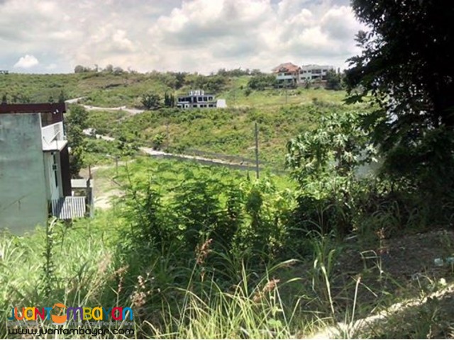 LOT FOR SALE AT ROYALE CEBU ESTATE, CONSOLACION CEBU  