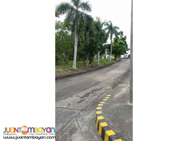 LOT FOR SALE AT ROYALE CEBU ESTATE, CONSOLACION CEBU  