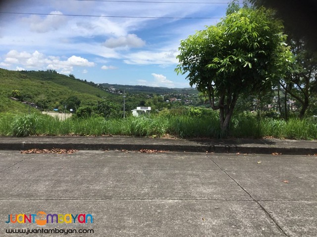 LOT FOR SALE AT ROYALE CEBU ESTATE, CONSOLACION CEBU  