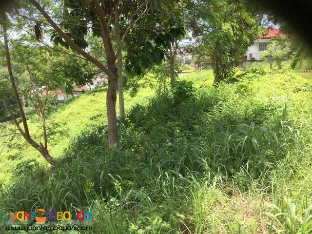 LOT FOR SALE AT ROYALE CEBU ESTATE, CONSOLACION CEBU  