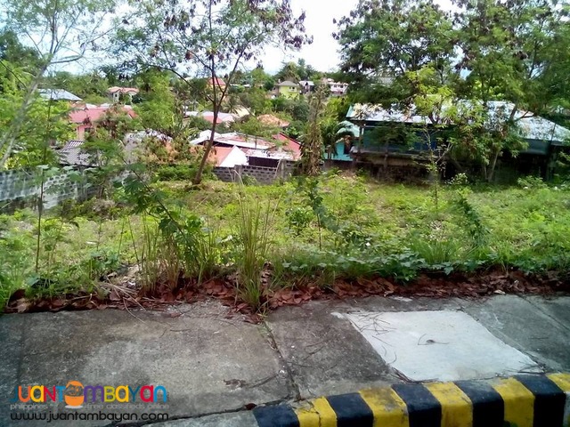 Lot for sale Royal Cebu Estate, Casili Consolacion Cebu
