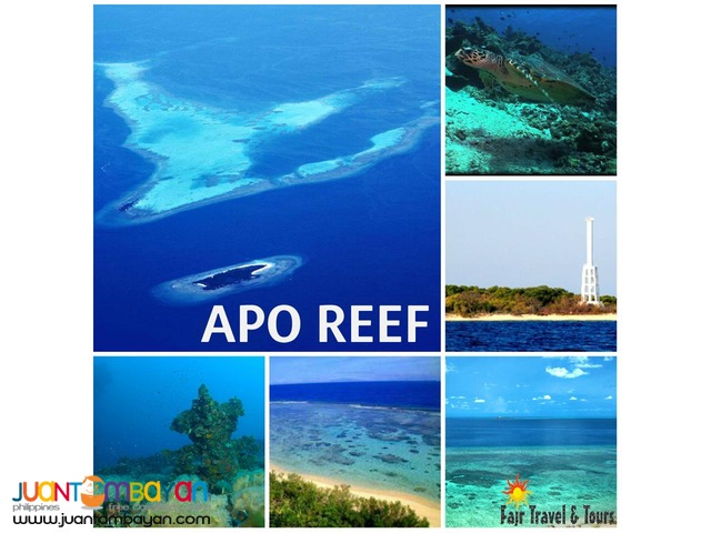 APO REEF TOUR PACKAGE