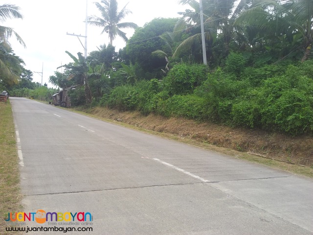 27,500 sq.m lot for sale in Palompon, Leyte