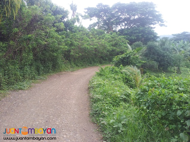 27,500 sq.m lot for sale in Palompon, Leyte