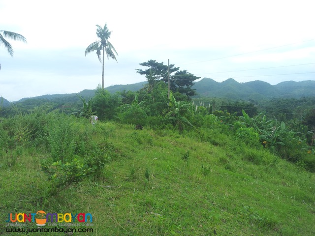 27,500 sq.m lot for sale in Palompon, Leyte