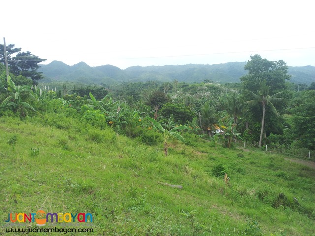 27,500 sq.m lot for sale in Palompon, Leyte