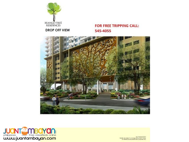 Mango Tree Condominium @ M. Paterno 30 sqm - S@n Juan City