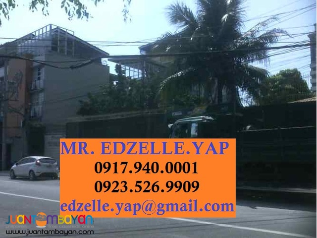 Lot for Sale Mother Ignacia Quezon City Lot for Sale Mother Ignacia Quezon City
