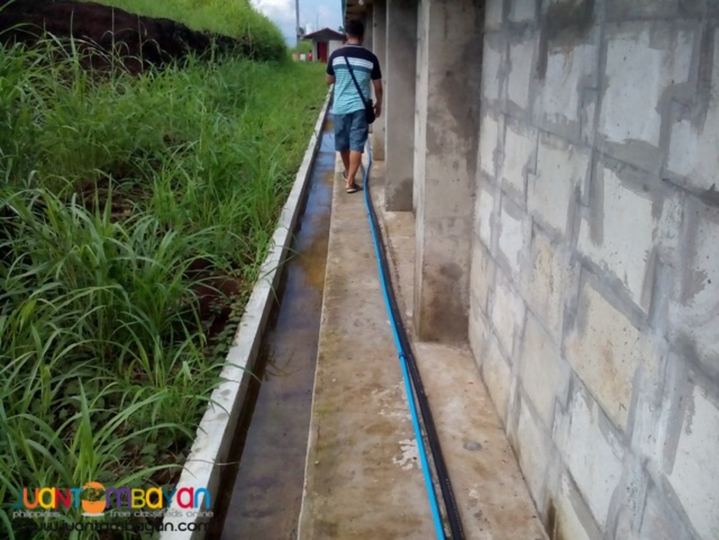 Tunnel Ventilated Poultry House Construction