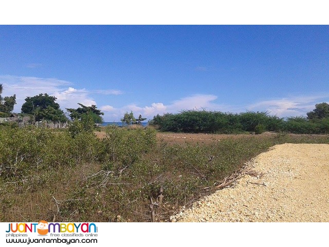 Affordable Beach Lot in Cebu