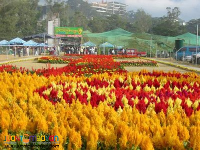 Baguio Tour Package, Ridgewood Residences