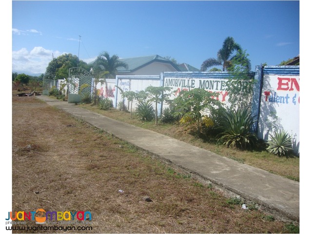 1.5M House & Lot w/ Swimming Pool for Sale in Cabanatuan