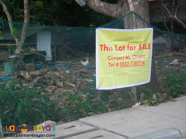 vacant lot for sale