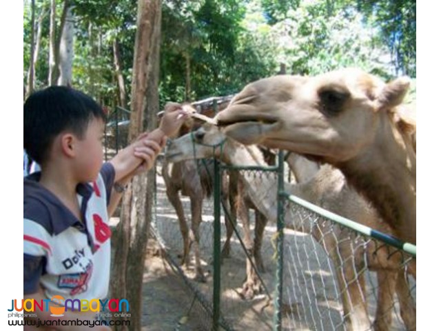 Subic tour package, Terrace Hotel, 2 nights Subic tour package, Terrace Hotel, 2 nights