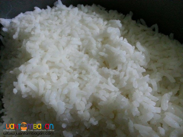 Rice / Bigas