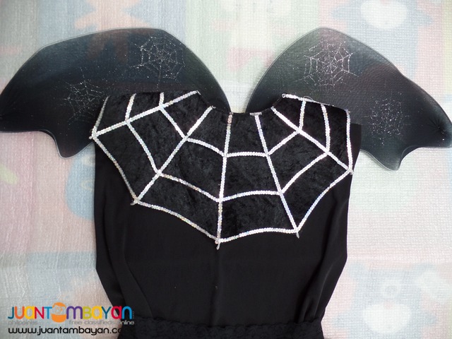Web Fairy or Black Fairy Costume for Adults (Size L)