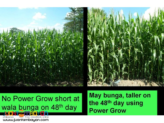 Power Grow Foliar Fertilize Distributor