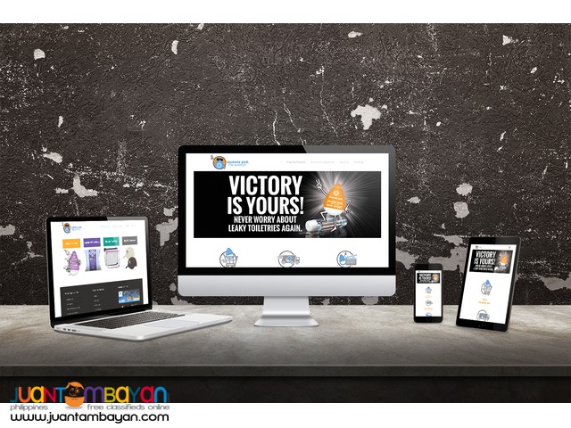 Website Design & Development, Fast, Affordable and Professional