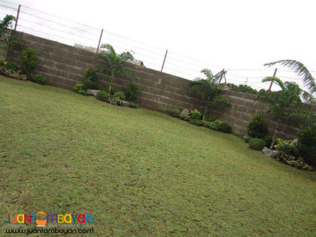 PH313 Pasig City House and Lot for Sale