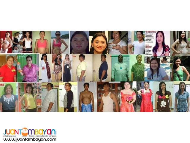 Herbalife Shake Program, For Loss Weight