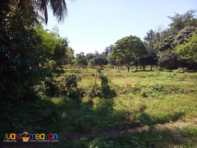 Affordable Residential Lot P20,000 per month Affordable Residential Lot P20,000 per month