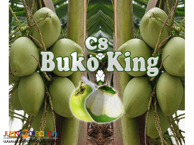 C8 Buko King C8 Buko King