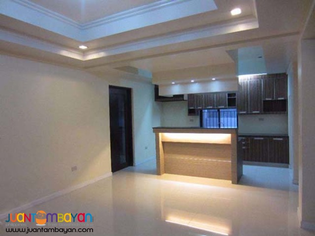 PH313 Pasig City House and Lot 