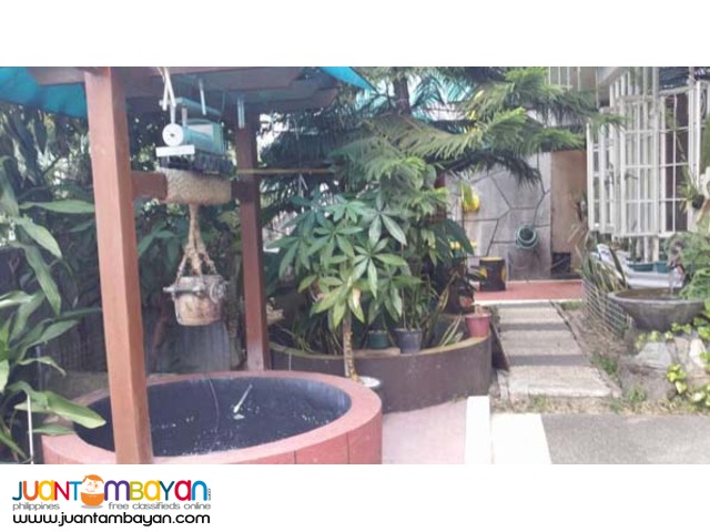 PH299 Pasig City House and Lot
