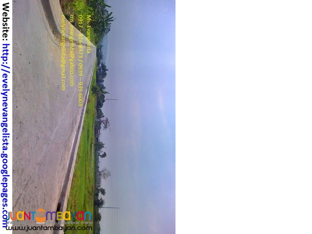Res. lot for sale in Cainta Greenland Exec. Village Phase 3B