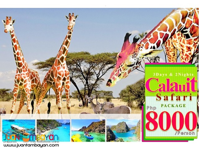 Experience the African wildlife @ Calauit Safari