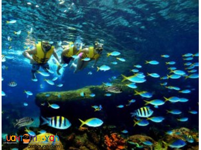 Singapore tour package, with Adventure Cove Water Park