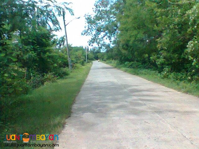 FARM LOT IN ZAMBALES FOR RENT or sale