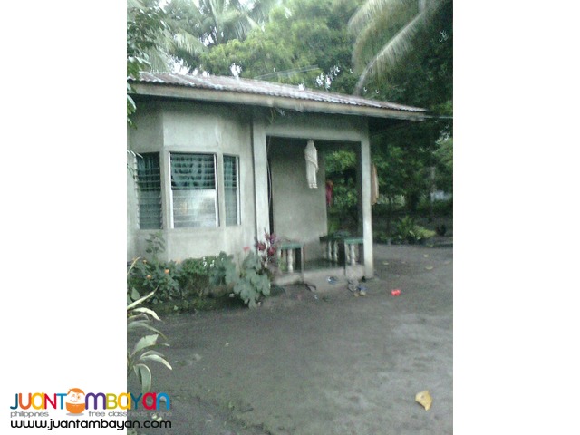 house and lot for sale in valencia negros oriental