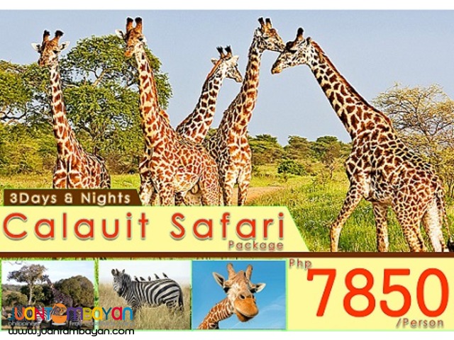 3Days & 2Nights Calauit Safari Package