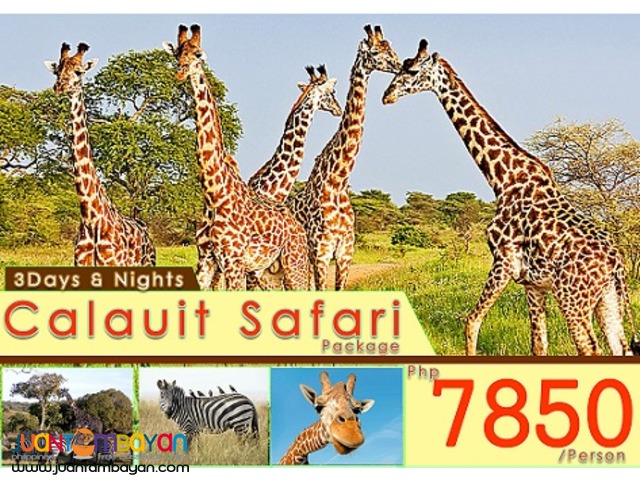 3Days & 2Nights Calauit Safari Package 3Days & 2Nights Calauit Safari Package