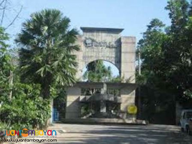 Lot for sale/swap Parkridge Antipolo Lot for sale/swap Parkridge Antipolo