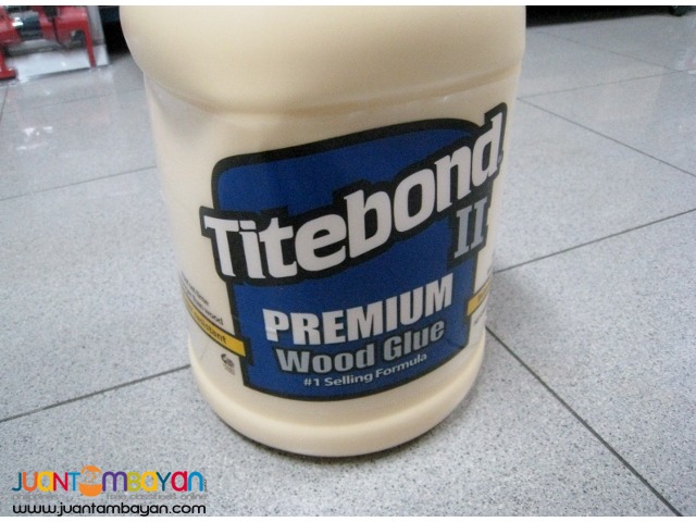 Titebond II 5006 Premium Wood Glue, 1 Gallon