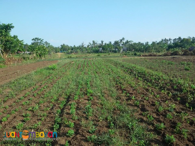 2000 Sqm. Lot For Sale 2000 Sqm. Lot For Sale