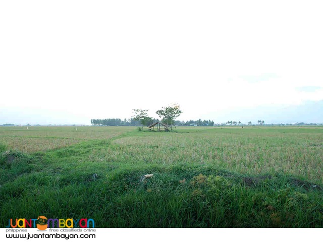 Agricultural Land 3 hectares 2.2M For Sale