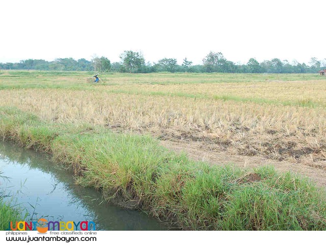 Agricultural Land 3 hectares 2.2M For Sale